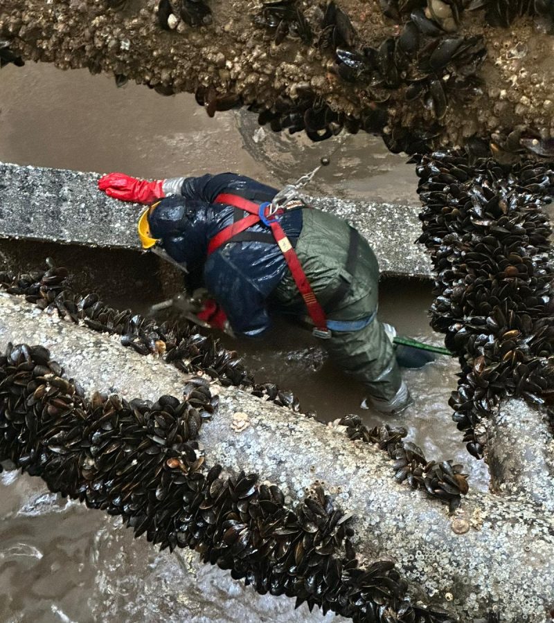 WhatsApp Image 2025-07-21 at 13.43.23